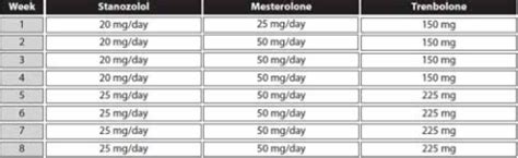 one cycle of steroids results|12 Steroid Cycles: For Beginners and Advanced Users.